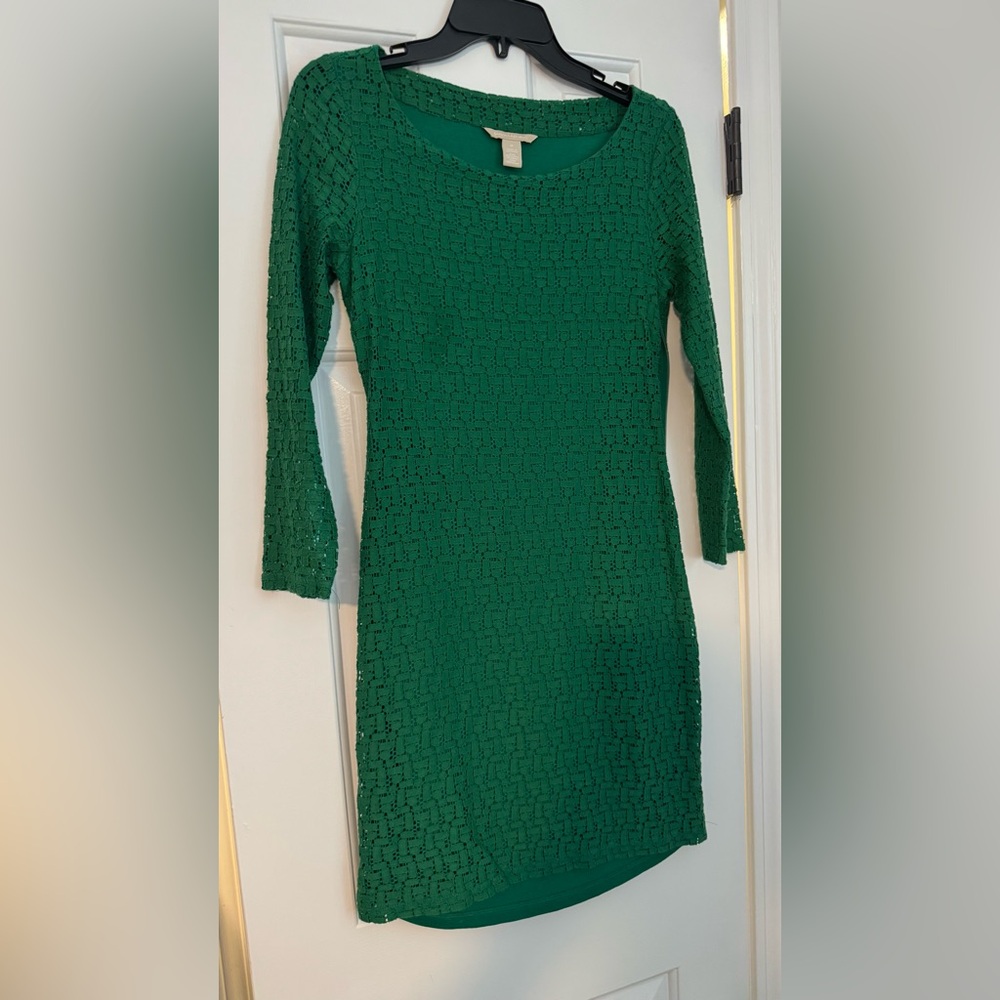 Banana Republic Green Long Sleeve Lace Dress